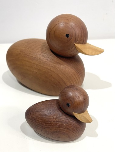 Skjode denmark duck baby - denmark,